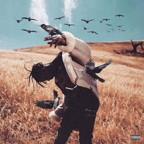 DAYS BEFORE BIRDS - Travi$ Scott